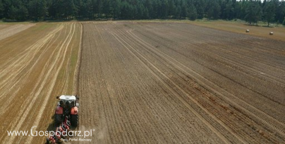 Polscy rolnicy gospodarują na 14,5 mln ha. Liczba gospodarstw sięga 1,4 mln